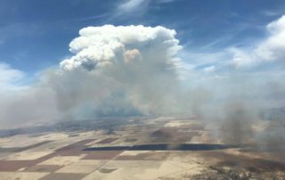 wildfire panhandle