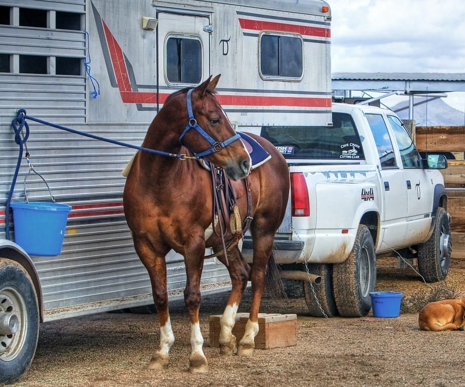 Horse Trailer and Pickup Truck Insurance in Texas | Hettler Insurance Agency, Lubbock Texas, Call 806-798-7800