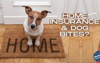 Homeowners Insurance and Dog Bites | Hettler Insurance Agency, Lubbock Texas