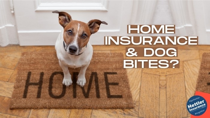 Homeowners Insurance and Dog Bites | Hettler Insurance Agency, Lubbock Texas