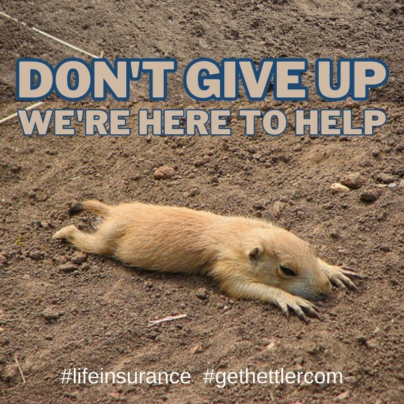 Prairie Dog | Don't Give Up Life Insurance in Texas | Hettler Insurance Agency, Lubbock Insurance, Texas