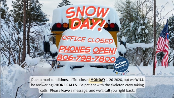 Avada Car Dealer News